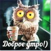 IMG_8232.jpeg
