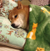 IMG_5899.png
