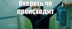 IMG_2880.jpeg