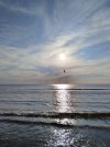 IMG_20240719_191352.jpg