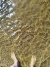 IMG_20240722_140956.jpg