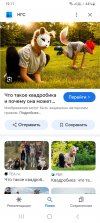 Screenshot_20240724_191148_Google.jpg