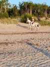 IMG_20240725_201855.jpg