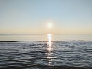 IMG_20240725_201504.jpg