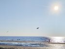 IMG_20240726_184455.jpg