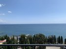 IMG_6374.jpeg