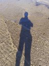 IMG_20240808_153802.jpg