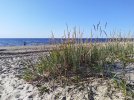 IMG_20240808_162045.jpg