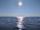 IMG_20240808_170548.jpg