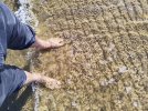 IMG_20240808_153623.jpg