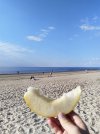 IMG_20240812_165202.jpg