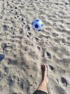 IMG_20240812_171537.jpg