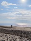 IMG_20240812_171742.jpg