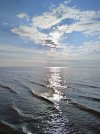 IMG_20240812_175302.jpg