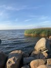 IMG_2709.jpeg