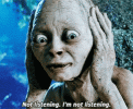 IMG_1582.gif