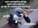 IMG_1702.jpeg