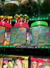 IMG_20240826_164909.jpg