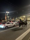 IMG_2888.jpeg