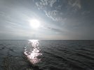 IMG_20240901_162326.jpg