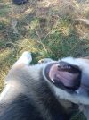 IMG_20240909_120235.jpg