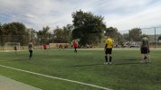 IMG_20240913_141046_055.jpg