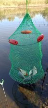 IMG_20240914_093853.jpg