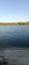IMG_20240914_072234.jpg