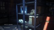 IMG_4553.jpeg
