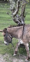 IMG_1562.jpeg