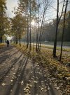 IMG_4083.jpeg