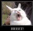 1729805985679.png