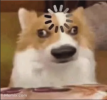 1729852489845.png