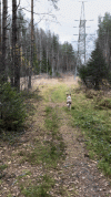 VideoToGif_GIF.gif