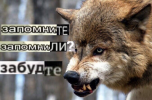1730230799150.png