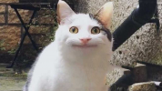 1730253794566.png 1730253794566.png