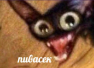 1730397714370.png 1730397714370.png