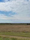 IMG-20241109-WA0011.jpg