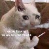 IMG_4605.jpeg