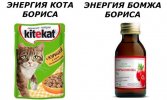 IMG_7646.jpeg