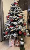 IMG_4709.jpeg