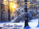 IMG_7731.gif