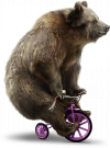145820673816741940.png 145820673816741940.png