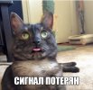 IMG_5052.jpeg