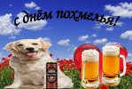 IMG_7768.jpeg