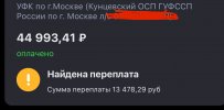 IMG_6500.jpeg