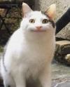 1735038493479.png