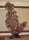 IMG_9814.jpeg