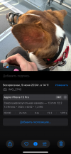 IMG_6708.png