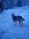20241228_160750.jpg